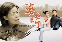 婆婆来了电视剧,婆媳关系新解，家庭和谐之道