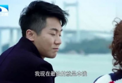 毕然家栋是什么电视剧,揭秘现代都市中的家庭情感纠葛