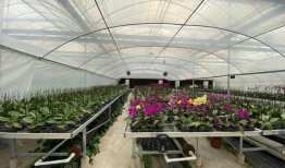 吃瓜群爆料大棚视频播放,吃瓜群爆料视频背后的真相揭晓