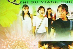 其实不想走电视剧,一场关于青春与选择的情感旅程