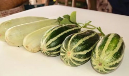 网红爆料吃瓜高清极品,揭秘吃瓜界的高清极品瞬间